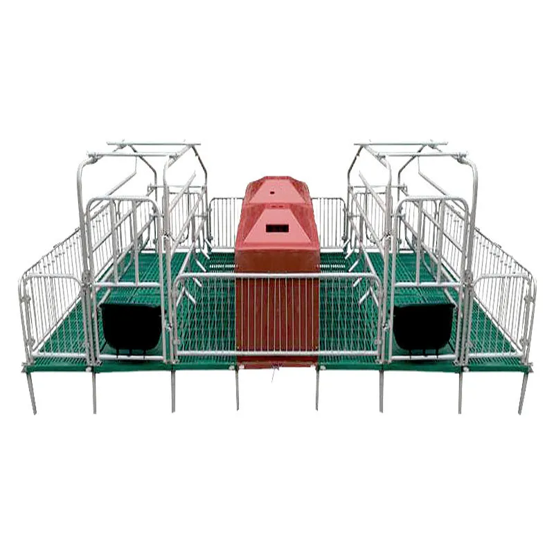 Why Modern Poultry Cage Designs Improve Bird Welfare