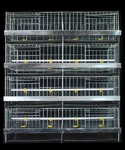 Chick Brooding Cage Solutions: Nurturing Healthy Hatchlings with Specialized Design