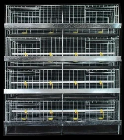 Chick Rearing and Layer Chicken Cage Solutions: Optimizing Poultry Farming Efficiency