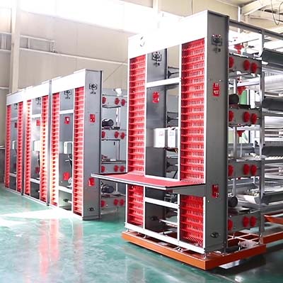 poultry broiler cage