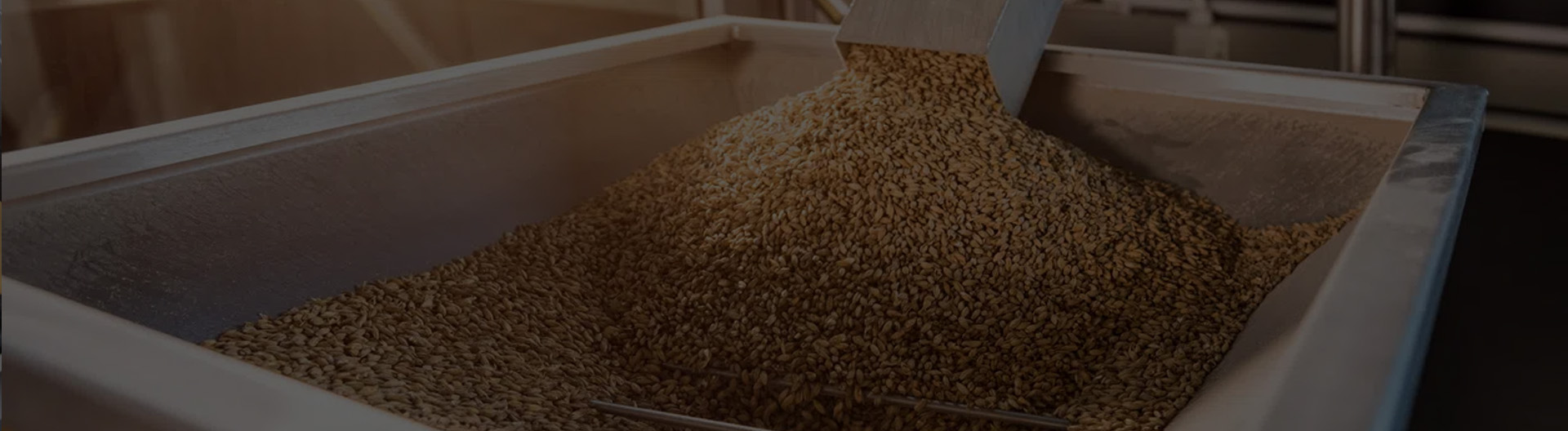 feed mill hammer mill