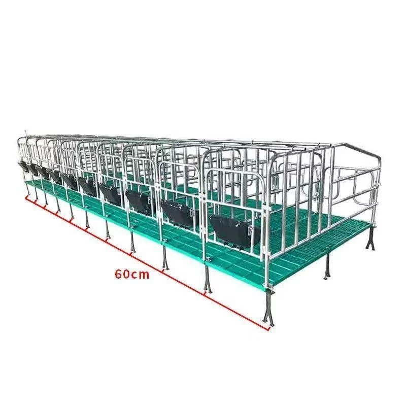 Optimizing Pig Farming: Advanced Solutions for Every Stage