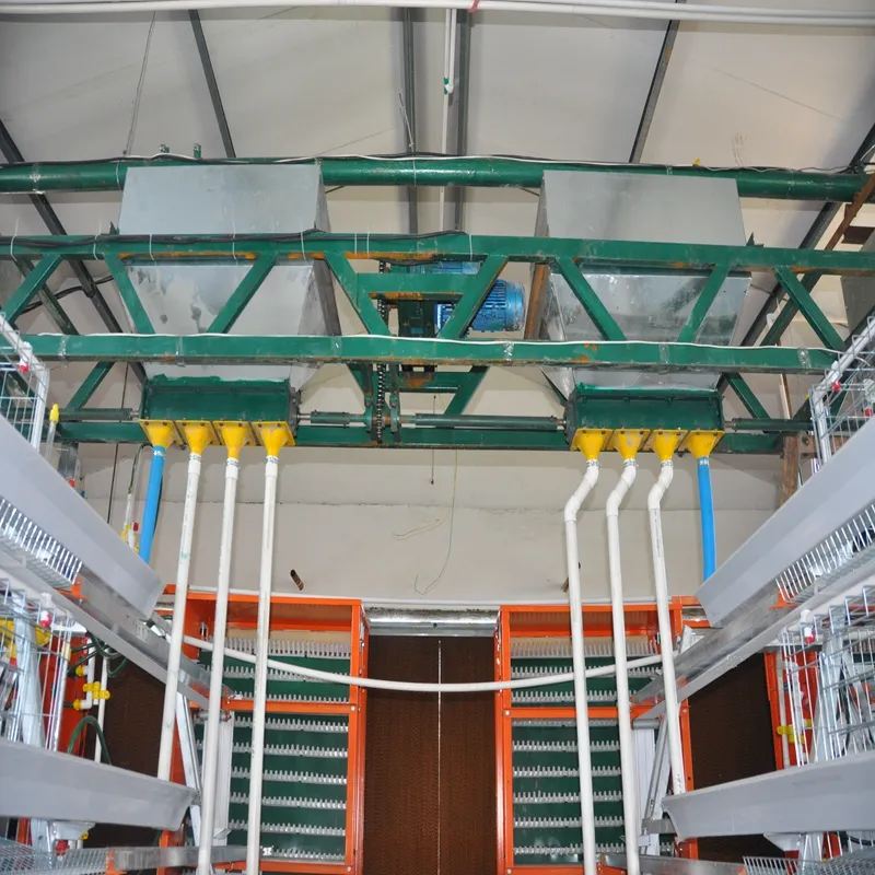 Rabbit Cage with Play Area: A Must-Have for Active Bunnies