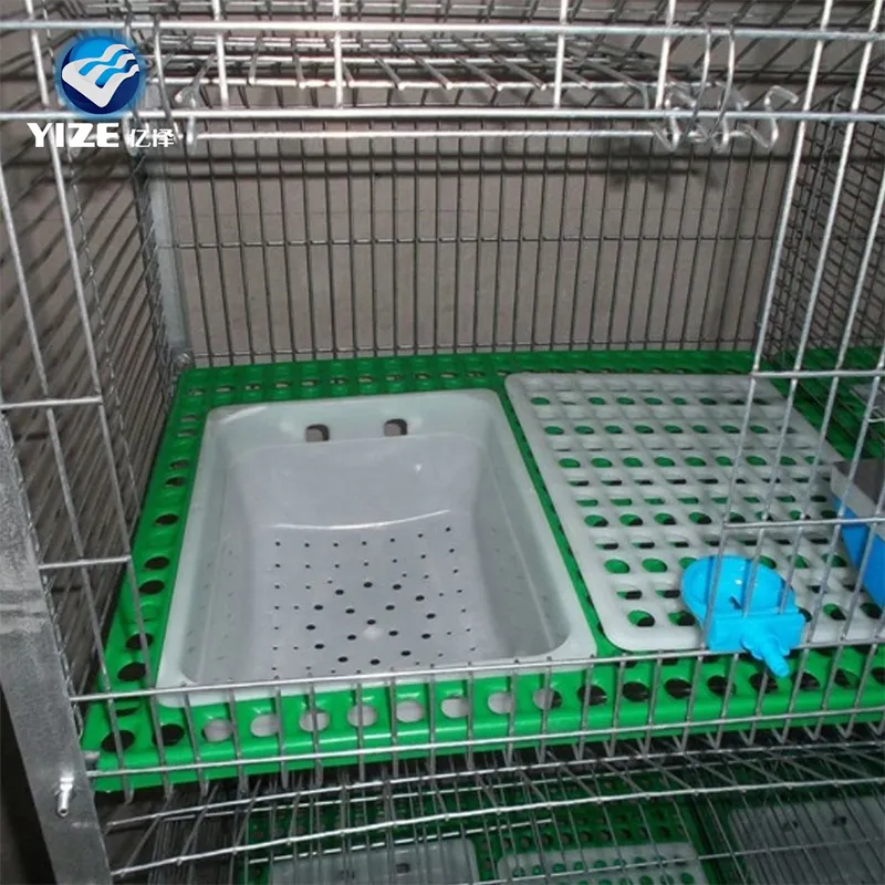 When to Replace Your Rabbit Cage