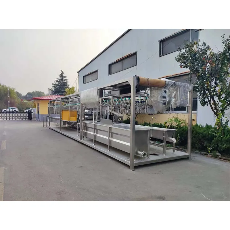 machine egg size grading