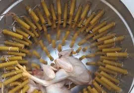 egg tray maker machine