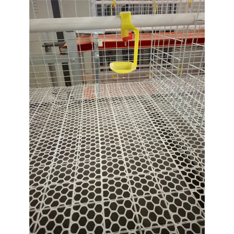 poultry farm layer cage
