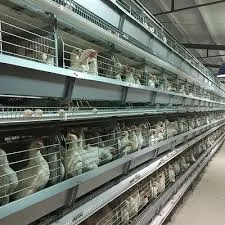 sausage vacuum packaging machine