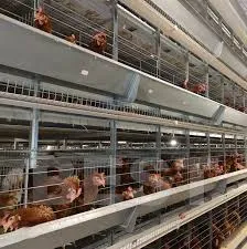egg tray making machine fully automatic