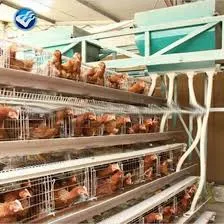 poultry cage