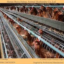 h type chicken cage