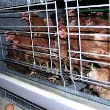 portable pig pens for sale