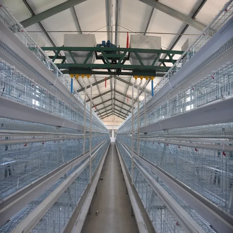 rabbit cage stands