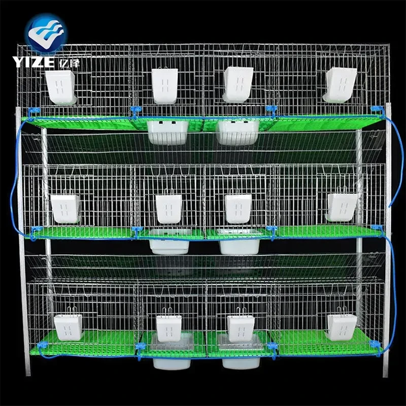 baby rabbit cage
