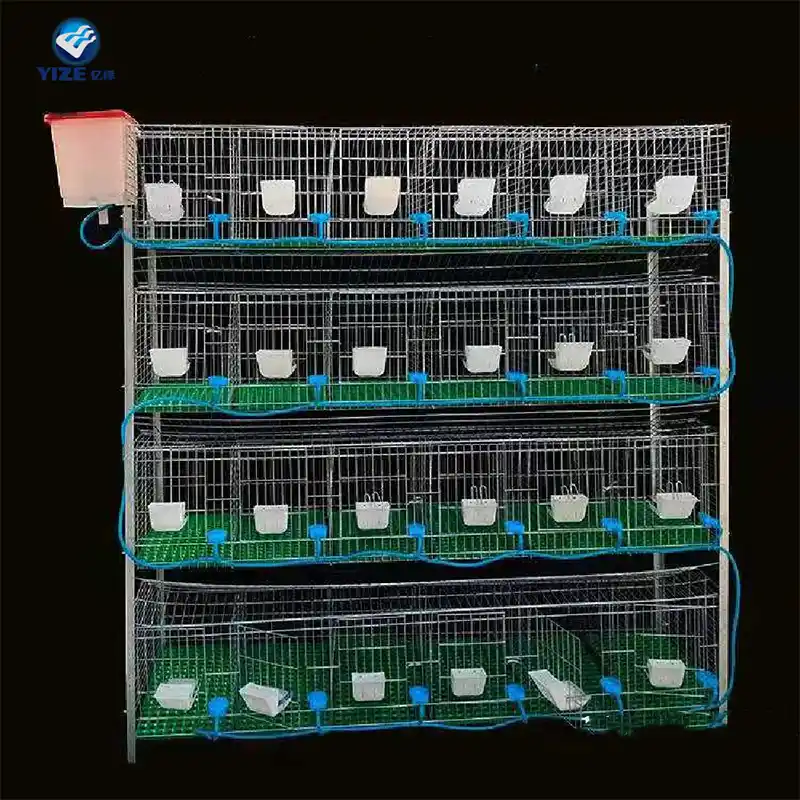 h type broiler cage