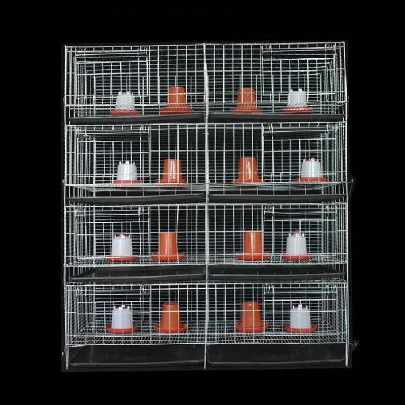 poultry scalder