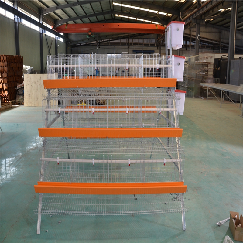 6 hole rabbit cage