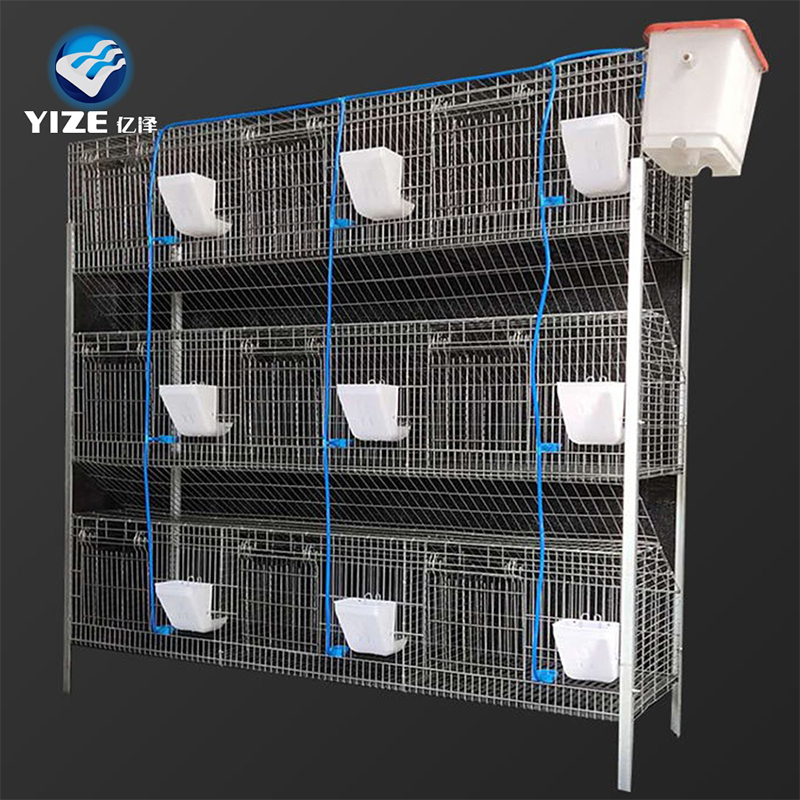 rabbit cage