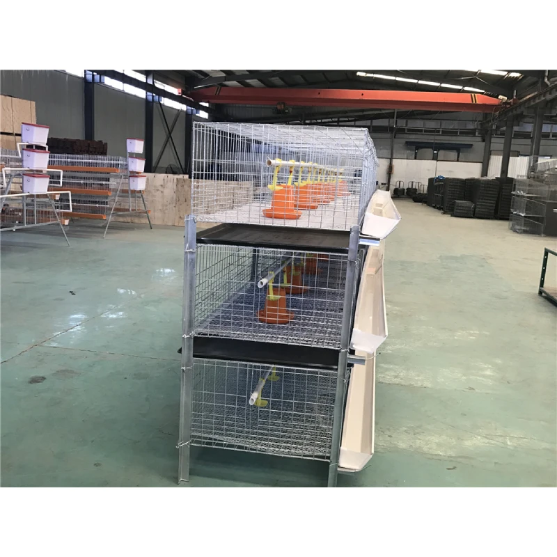 Poultry Cages--The Best Solutions for Efficient Poultry Farming