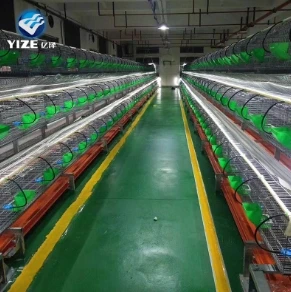 Rabbit Cages Unveiled: Innovations in Design for Modern Rabbit Farming