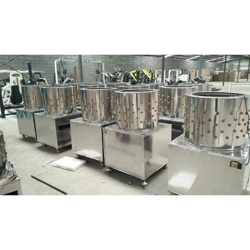 chicken layer cage for poultry