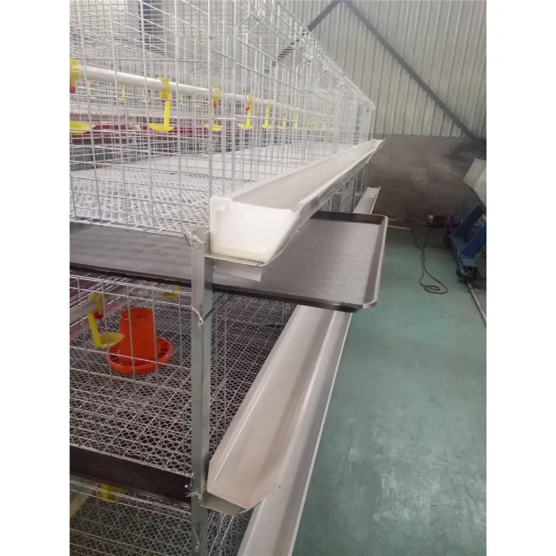 broiler chicken cages for sale