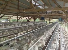 poultry scalding tank for sale