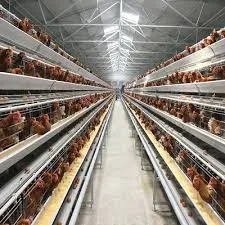 vacuum meat packaging machine