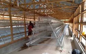automatic egg tray machine