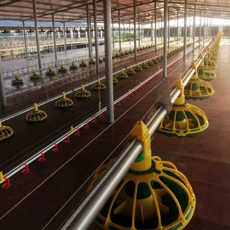 vacuum packaging machine for meat