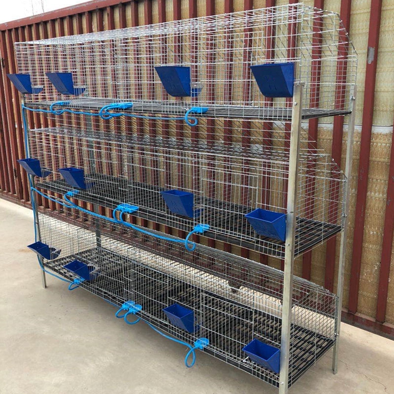 mobile free range poultry housing