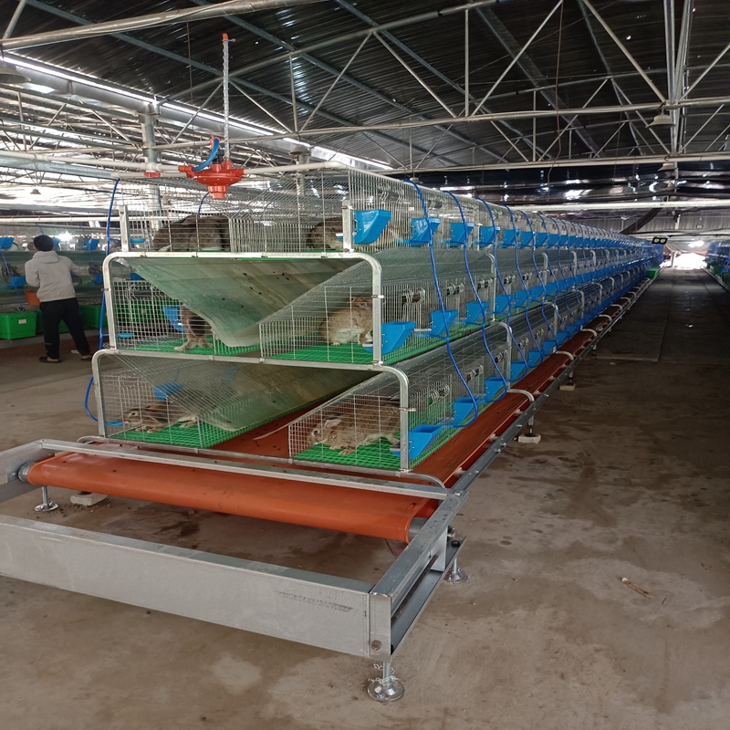 feed mill pellet machine