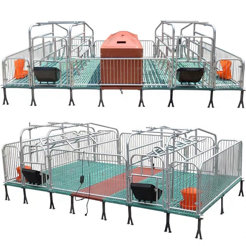 baby chick cage