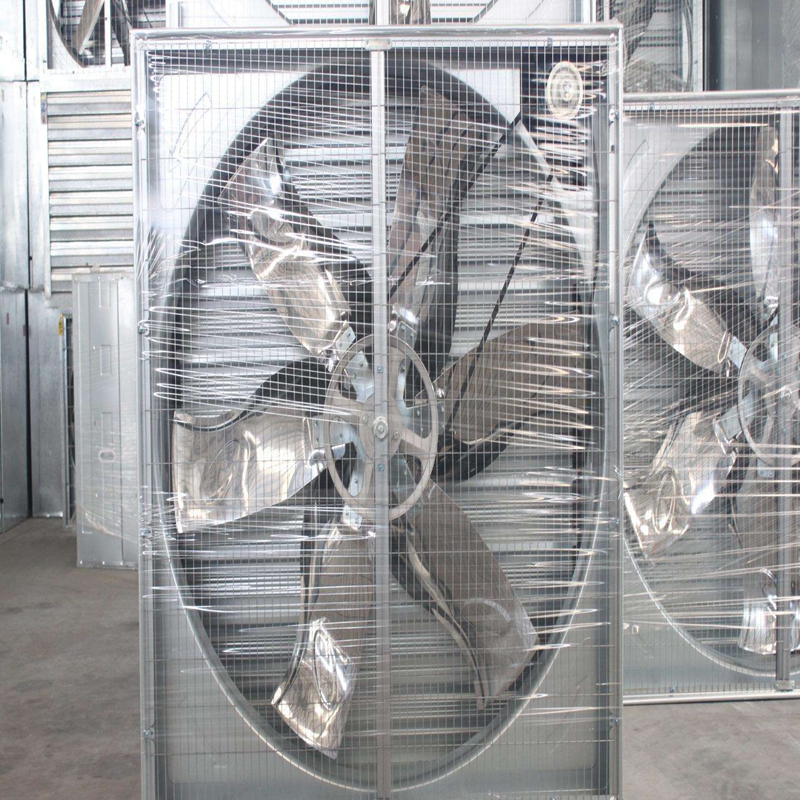 3 hole rabbit cage