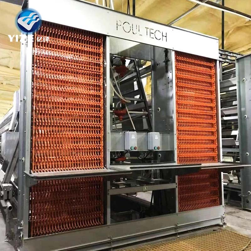 poultry farm cages