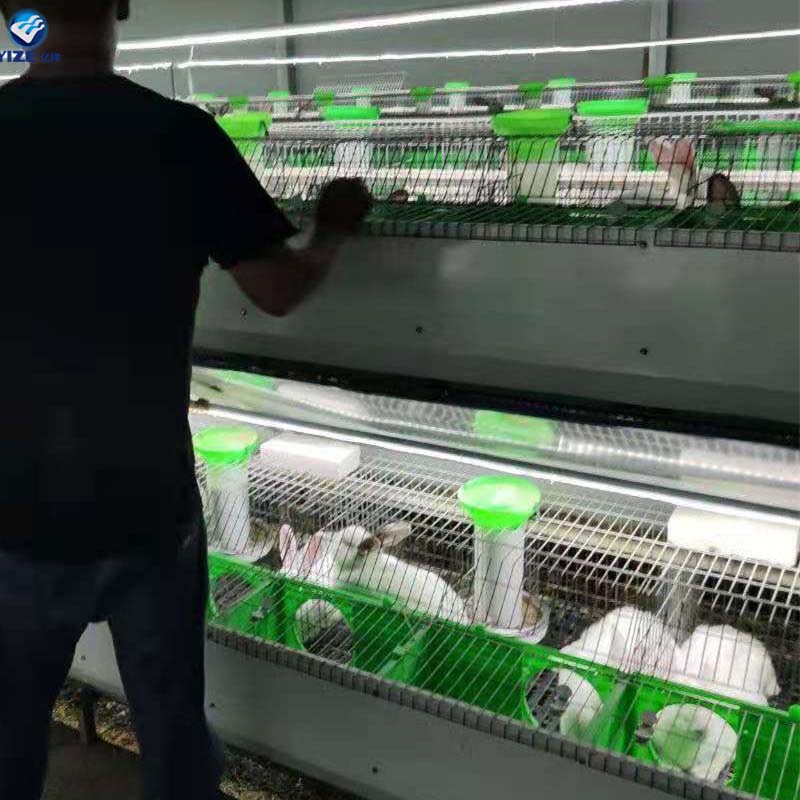 chicken egg layer cages