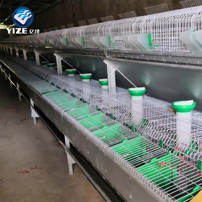 chicken poultry cage