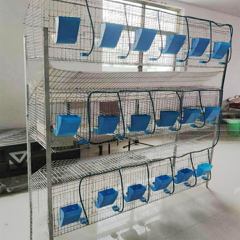 chicken feet processing machine