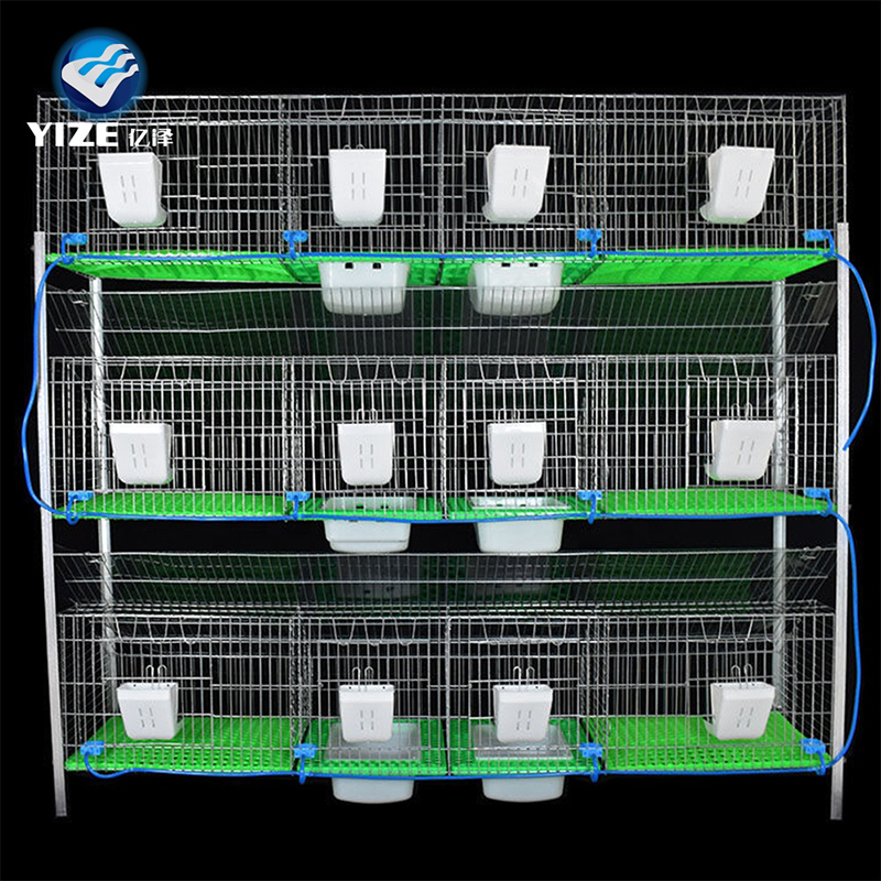 eggs grading machine