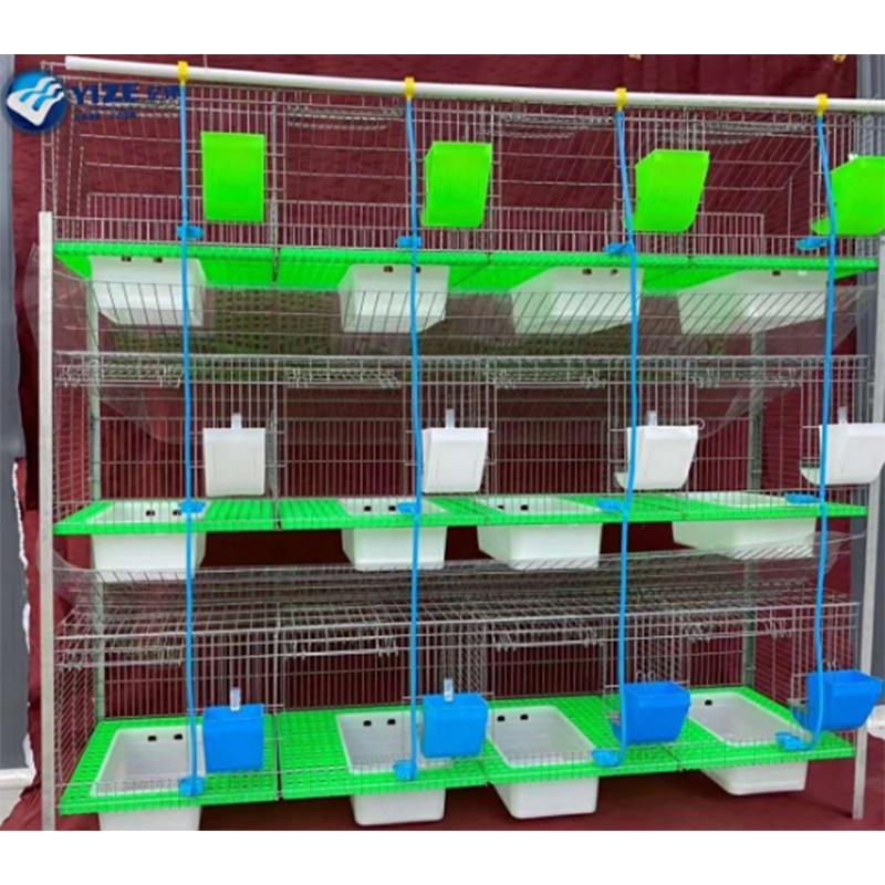 pullet chicken cages