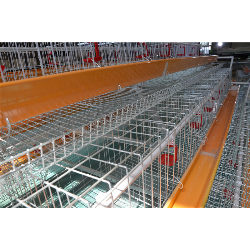 pig breeding pens