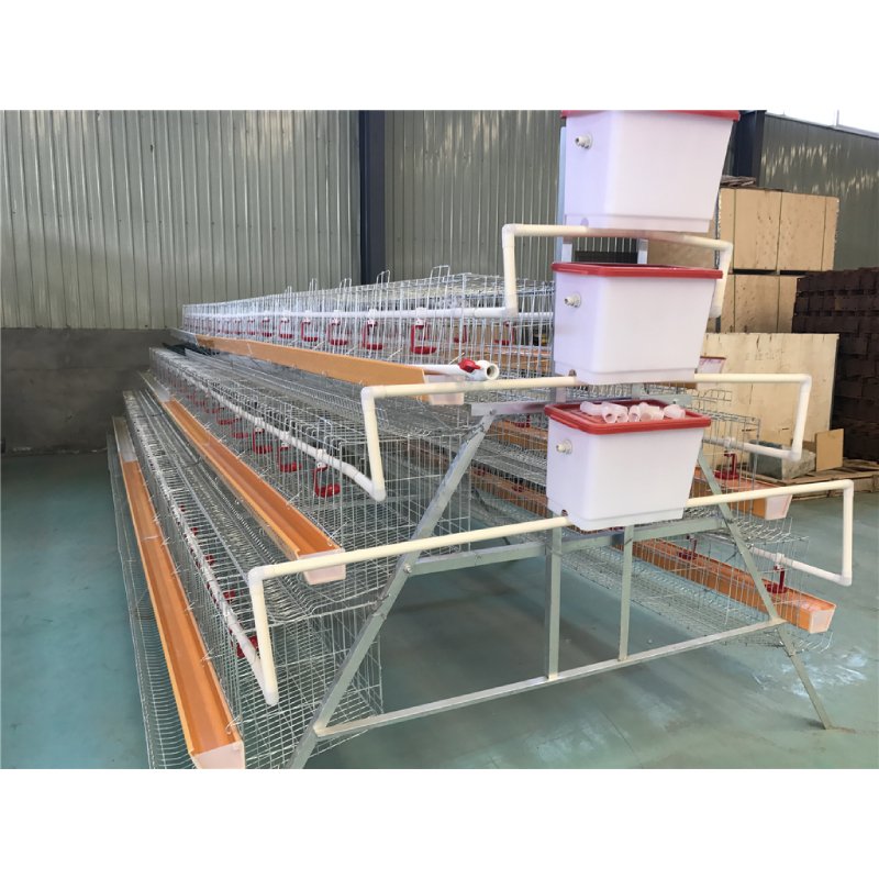 manure scrapper system