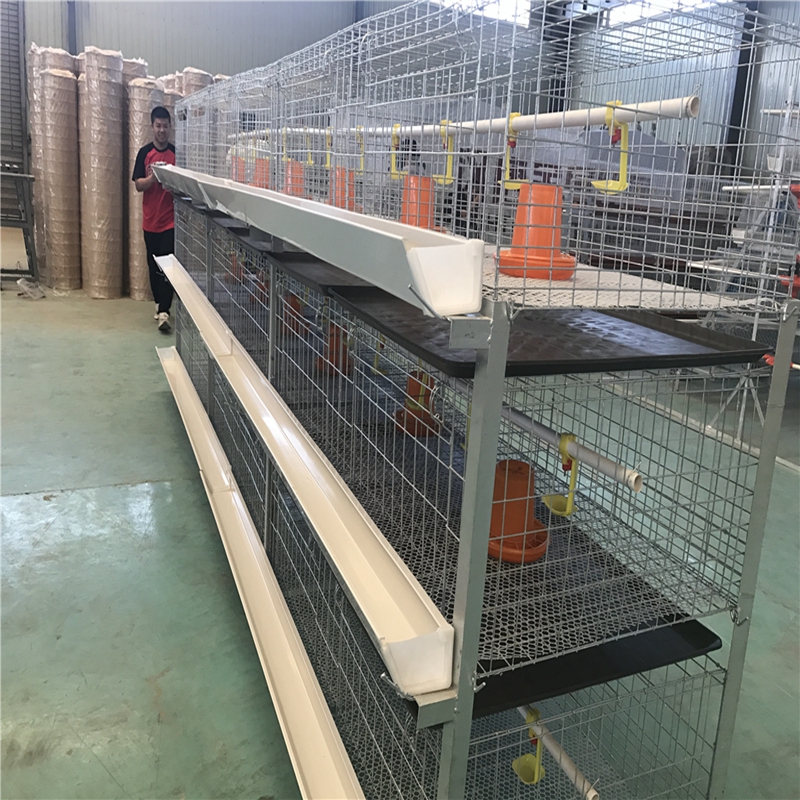 10 in exhaust fan