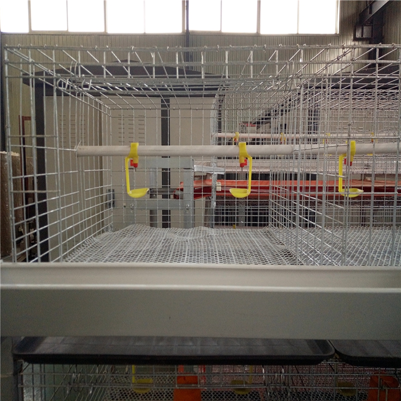 eggs tray machine