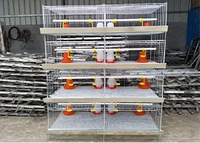 vertical vacuum packaging machine