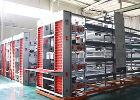 food vacuum packaging machines