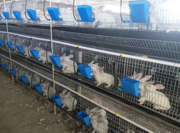 sheep feed pellet machine