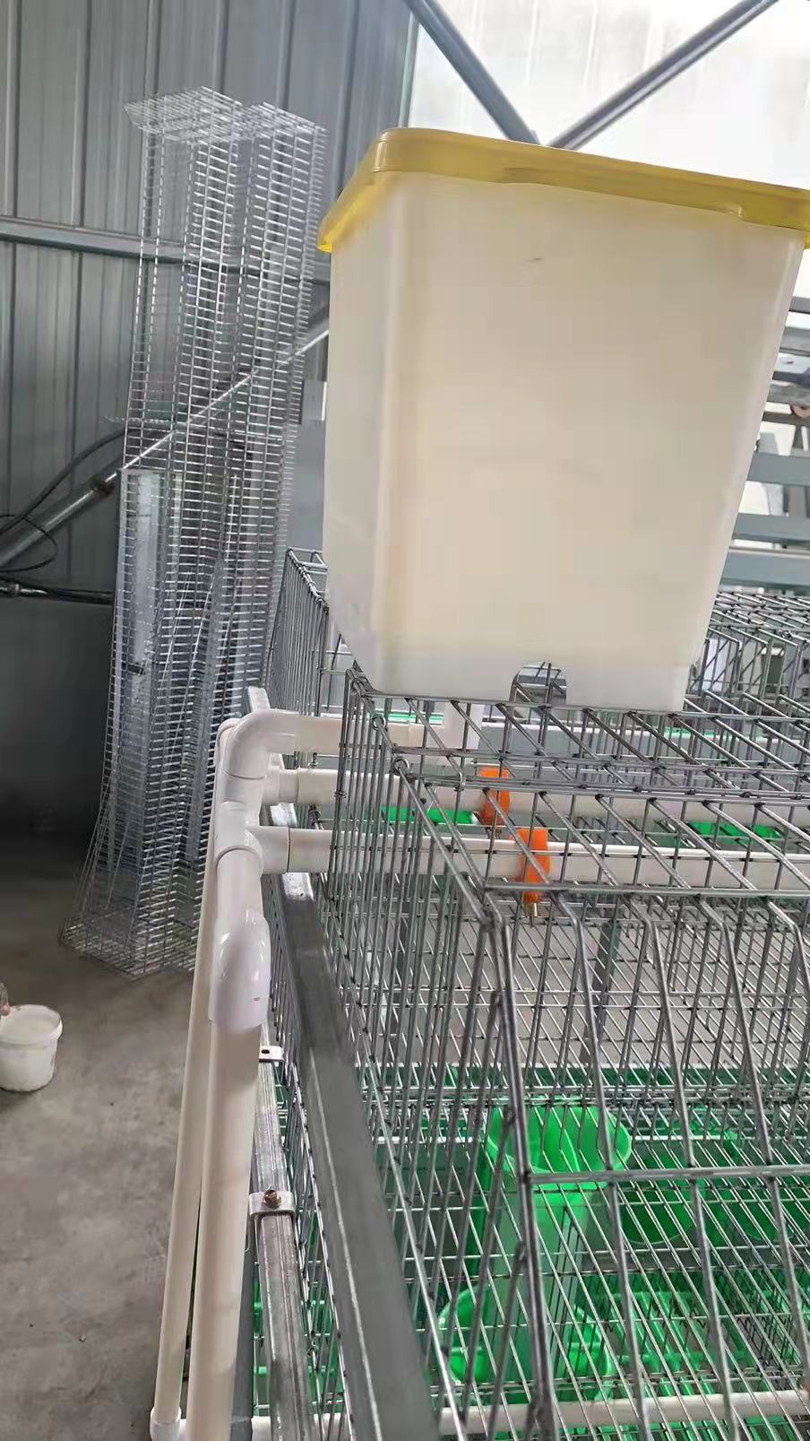 feeds pellet maker machine