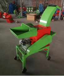 small fish feed machine