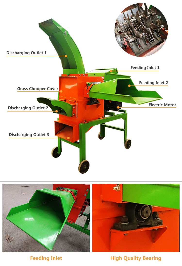 continuous vacuum packaging machine